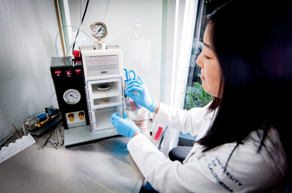 Student in a UC Berkeley lab