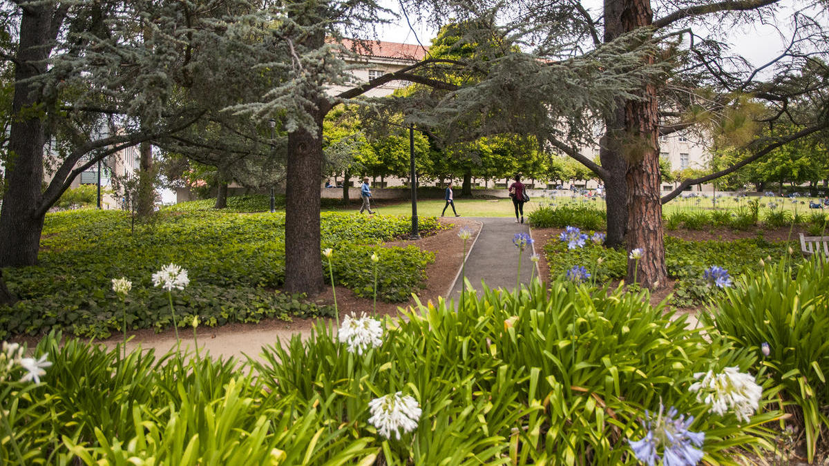 Summer at UC Berkeley