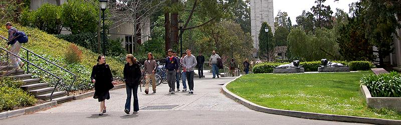 People Walking On Campus