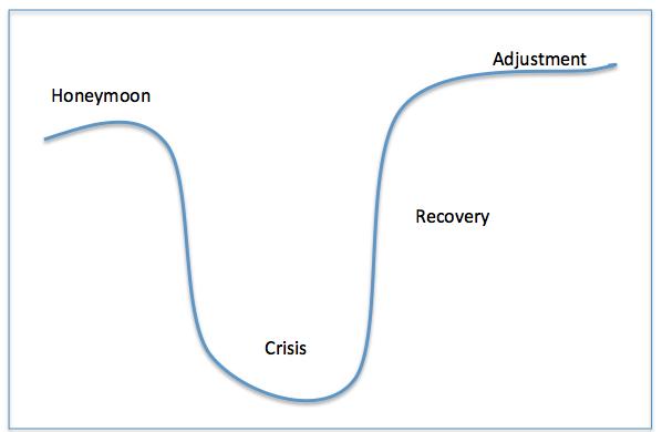 cultural adjustment W curve